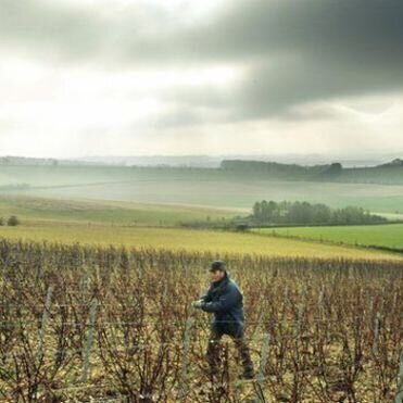 English Wine Week